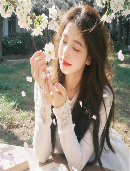 幕后探秘《机车杀手》：票房的收入数据与市场反应 感受创作的魅力与挑战